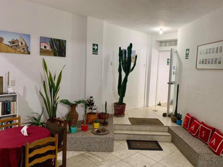 Casa Hostel